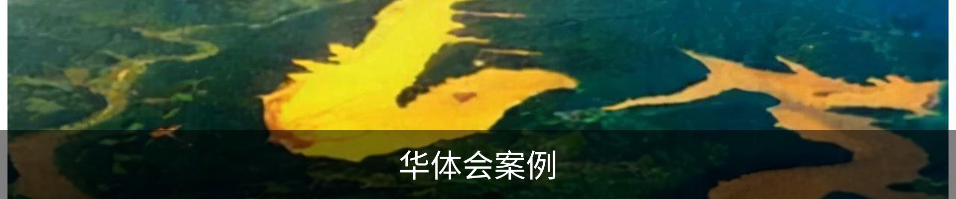 华体会案例